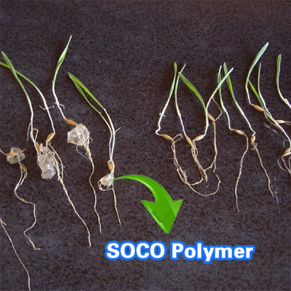 Agricultural Potassium Polyacrylate Passed Heavy Metal Test Report Super Absorbent Polymer for Sugar Cane Wheat Oats