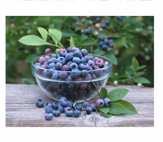  AA 등급 초흡수성 폴리머.  초흡수성 폴리머